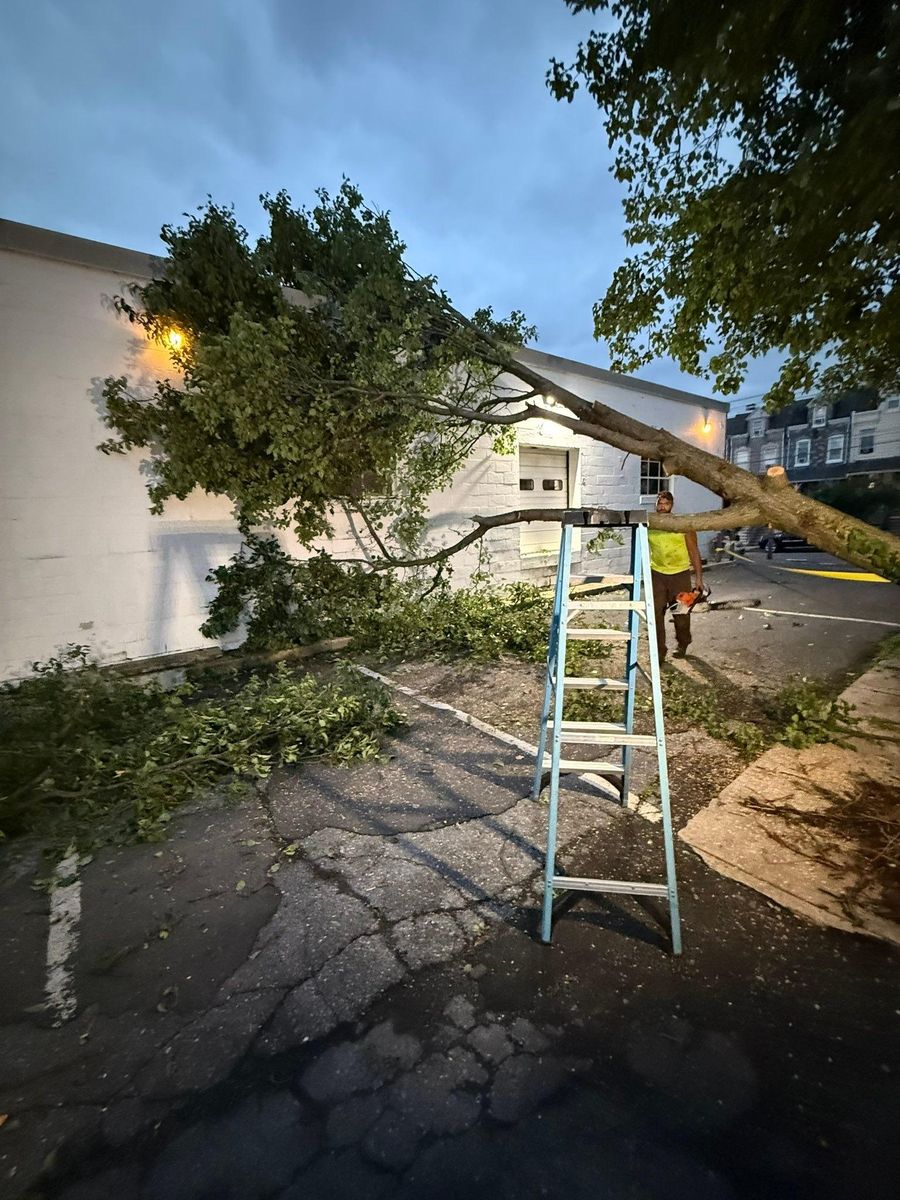 Tree Services for Jonathan A. Henne Property Services. in Hamburg, PA