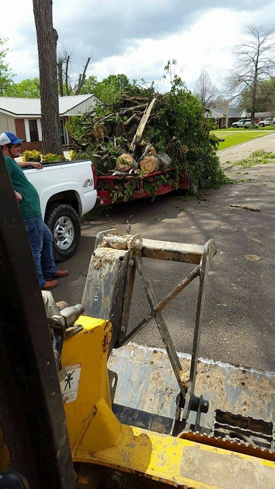 Debris Remova for Morace Tree Service in Natchez,,  MS