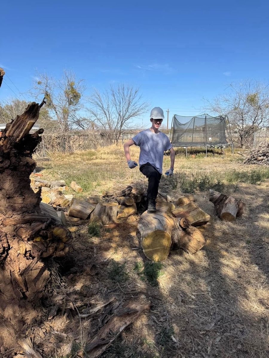 Tree Removal for Lion In The Tree Trimming Service in Big Spring, TX