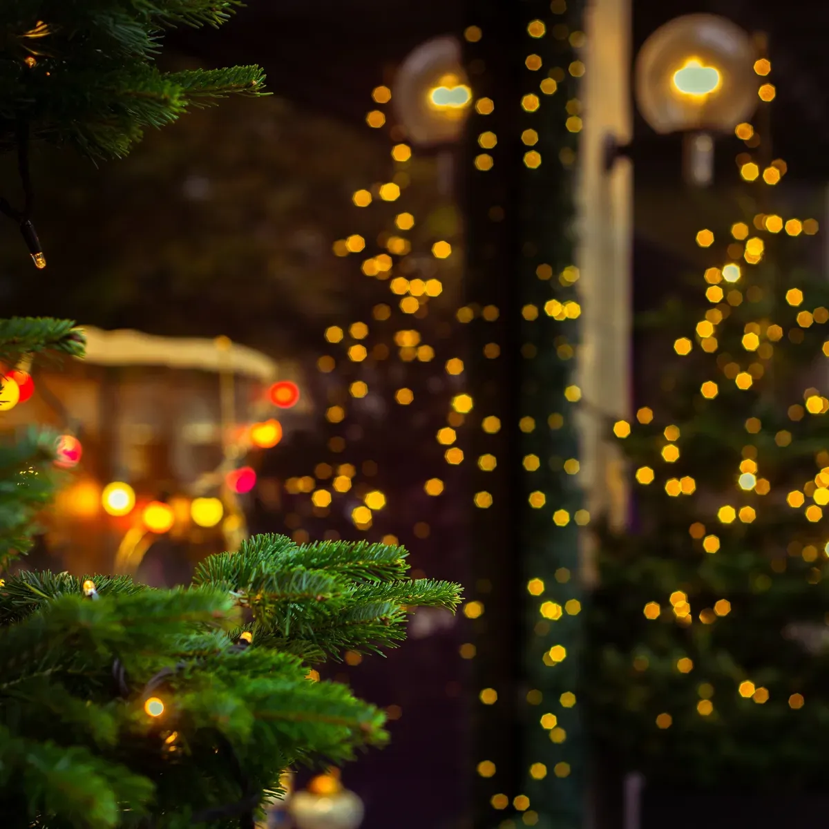 Holiday Light Installation for Amazing Christmas Lights in Magnolia, TX