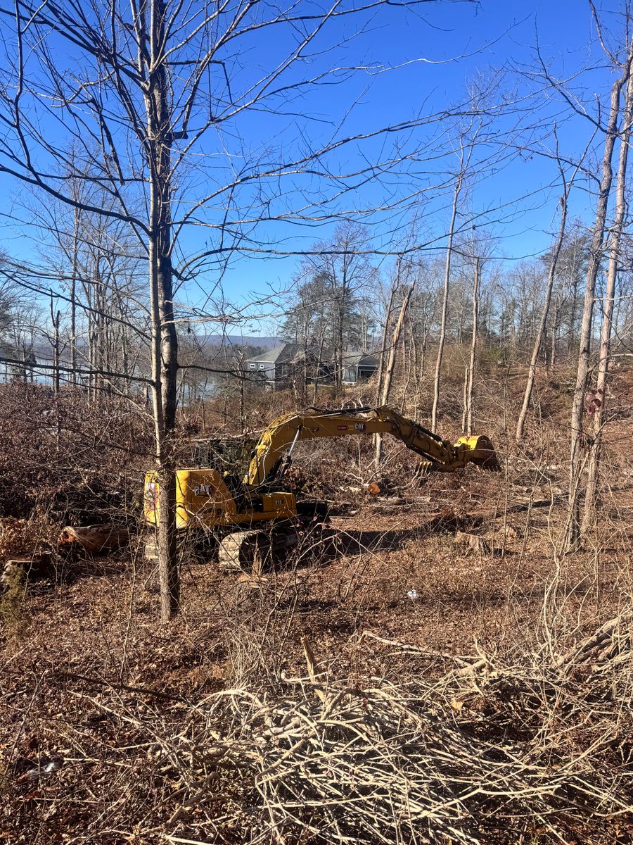 Tree Removal for Leal’s Lawn Service in Dayton, TN