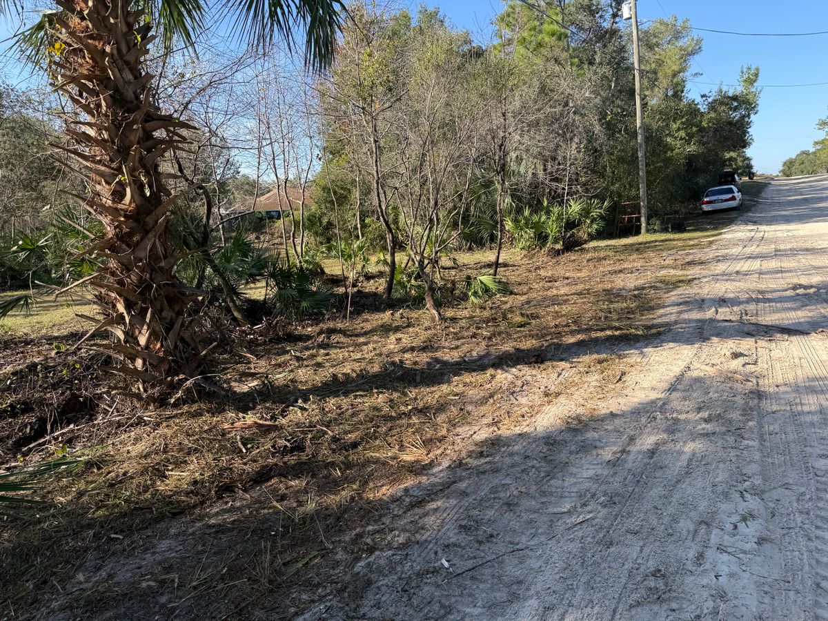 Fall Clean Up for Amerigrown Tree And Lawn in Apopka, FL