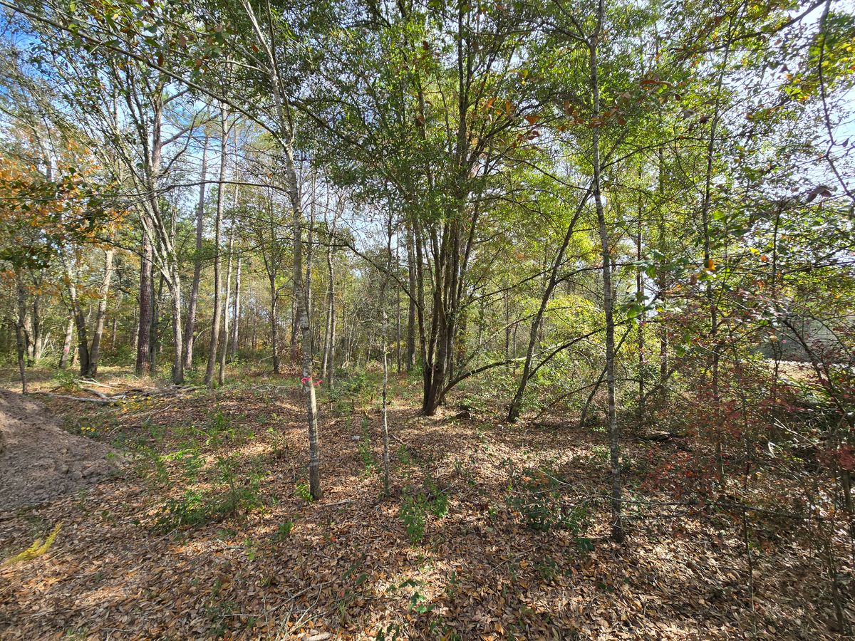 Land Clearing for Giles Land Management, LLC in Hahira, GA