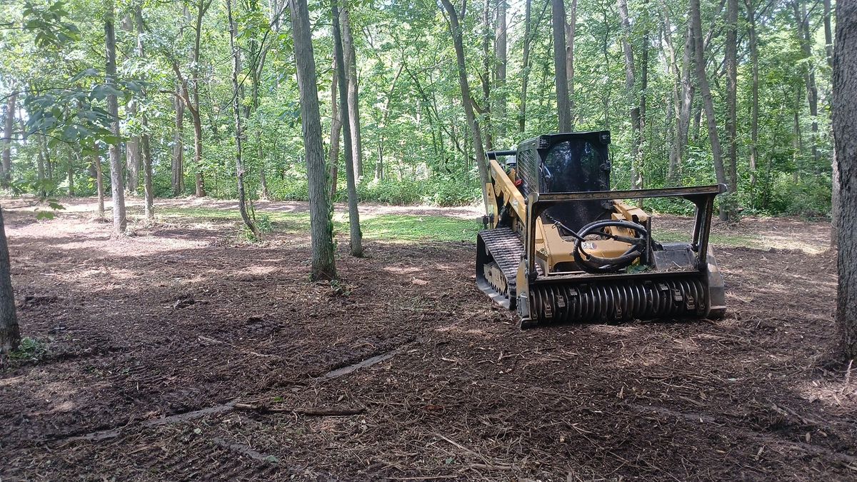 Land Clearing for Willing Trucking & Excavating in Evansville, WI