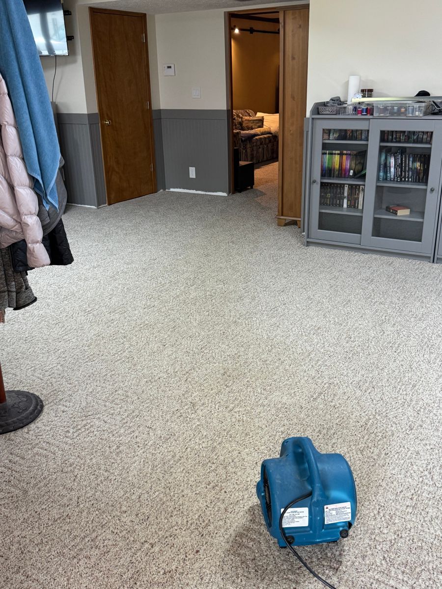 Carpet & Upholstery Cleaning for SteveCleans in Mitchell, IN