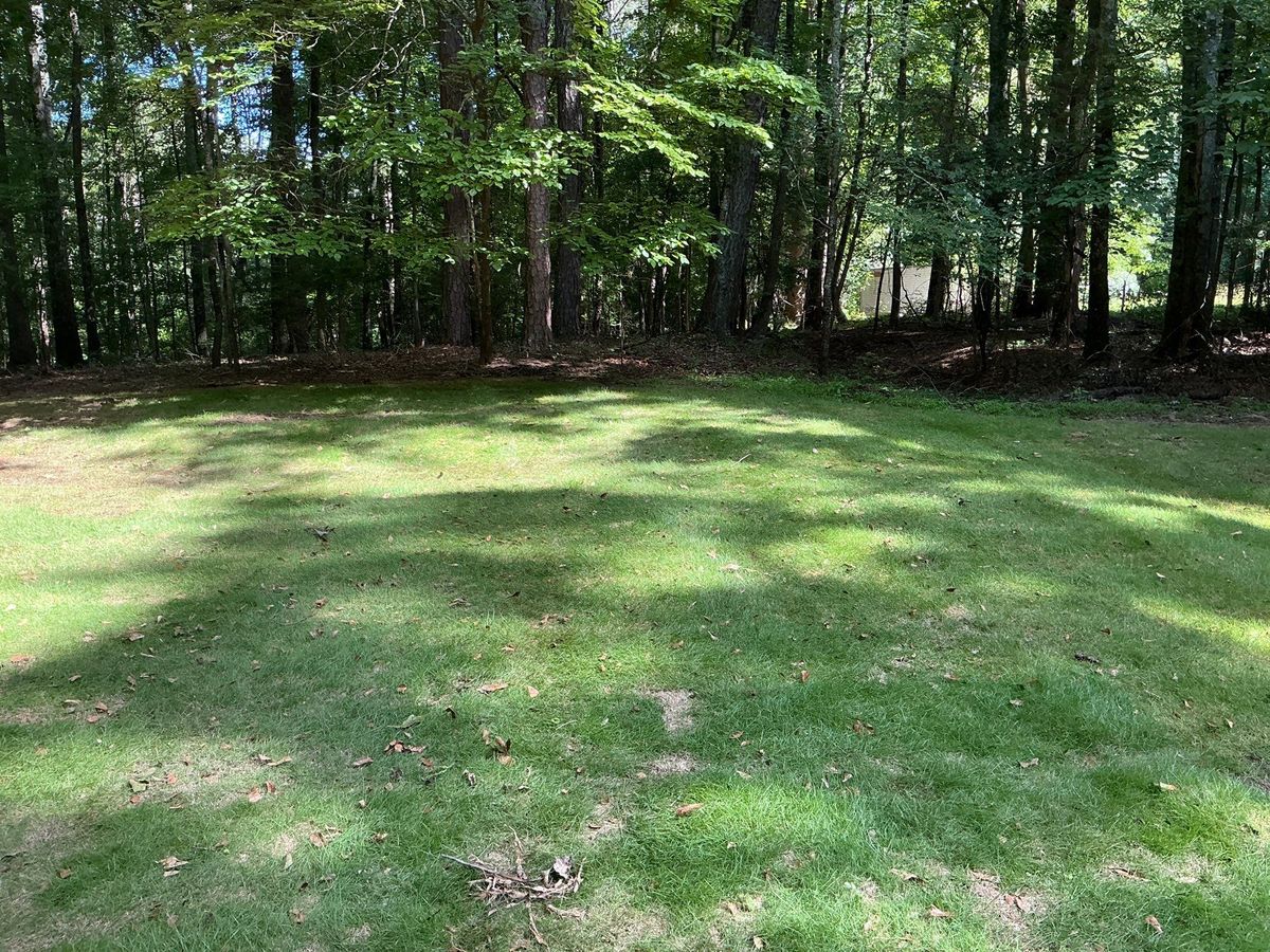 🌱 NB Sod Installation for New Beginning Landscape & Remodel LLC in Atlanta, GA