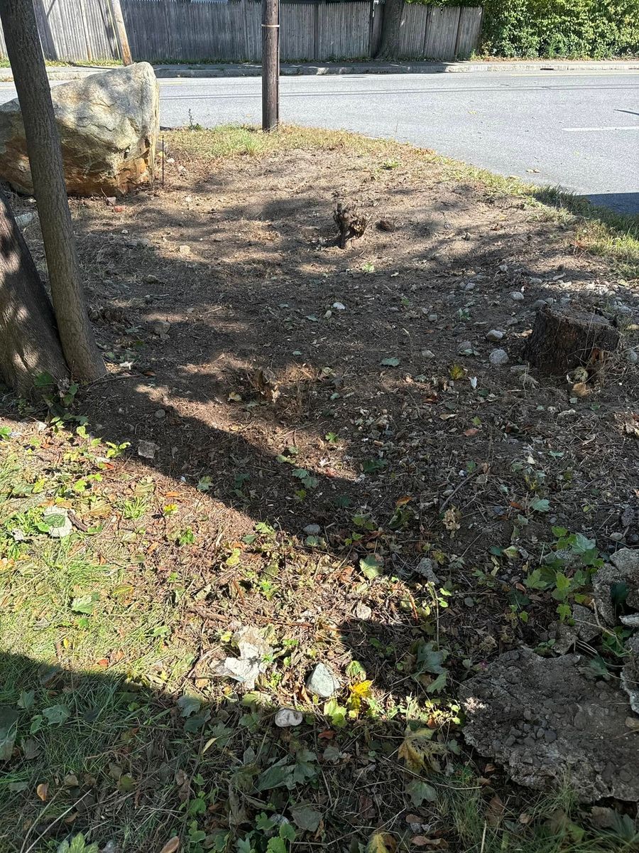Fall Clean Up for DB Landscape Construction in Scituate, MA