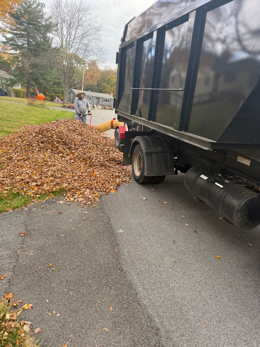 Fall Clean Up for Quiet Acres Landscaping in Dutchess County, NY