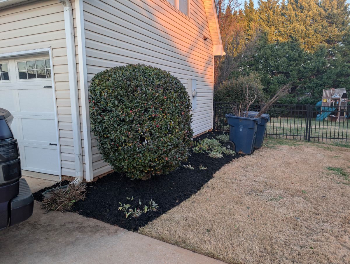 Fall Clean Up for Cody’s Lawn & Landscape in Greer, SC