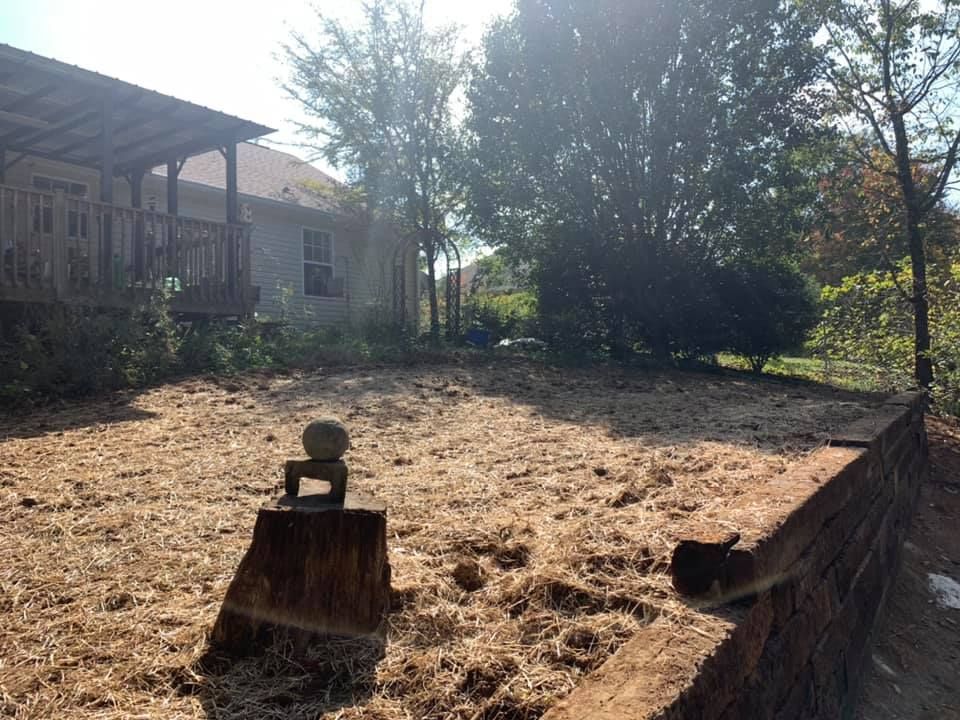 Forestry Mulching for Southeast Land Services in Cleveland, TN