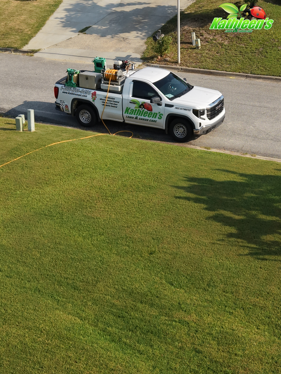 Lawn Care for Kathleen's Lawn & Shrub Care in Augusta, GA
