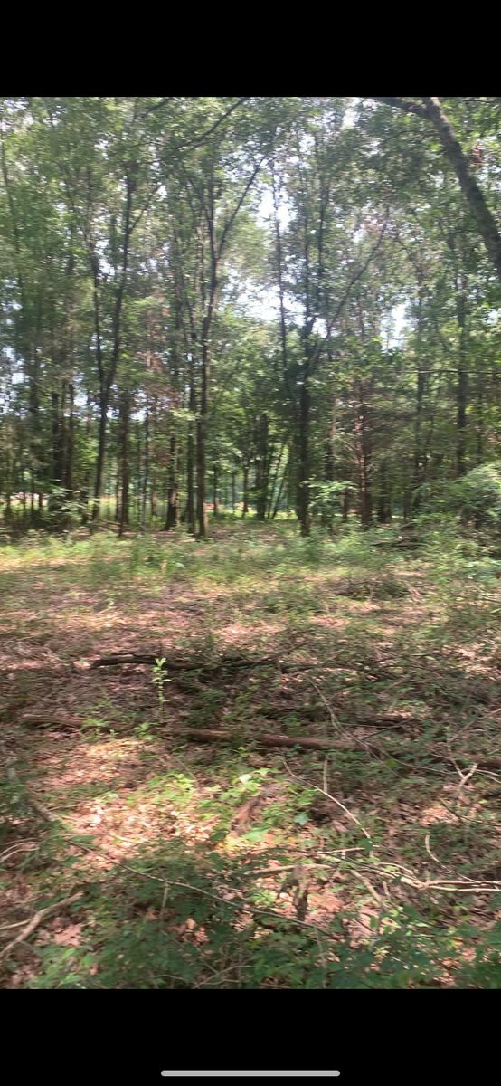 Land Clearing and Demolition for Polasini Land Development in Starkville, MS