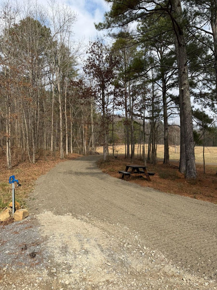 Excavation for Collins Constructors in Fyffe, AL