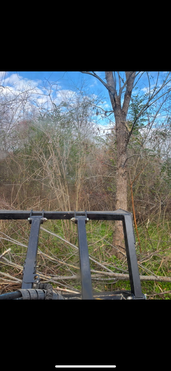 Land Clearing for Gregory Grass and Lawn in Lafayette, TN