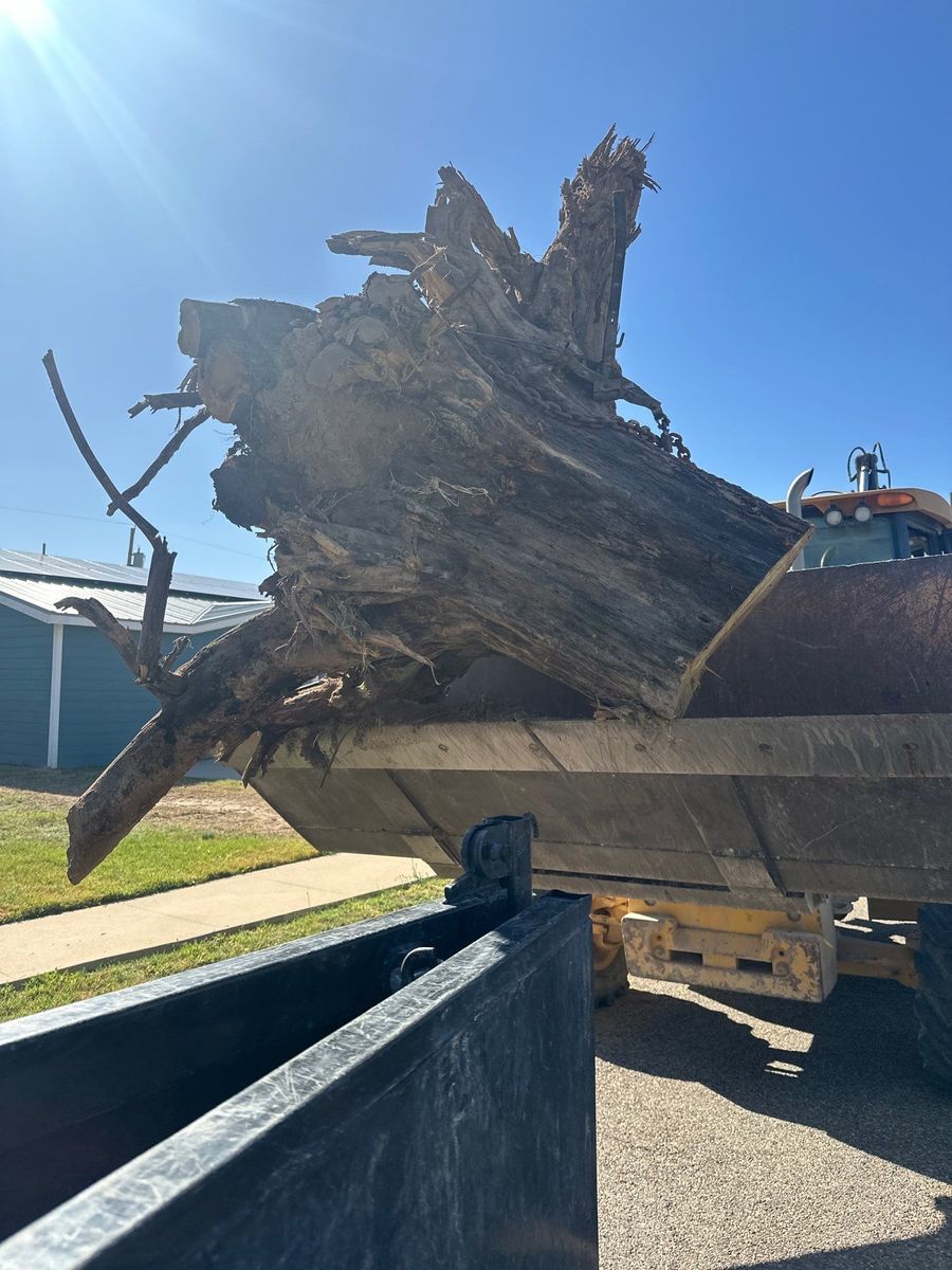 Stump Removal for Compas Cleanup in McCamey, TX