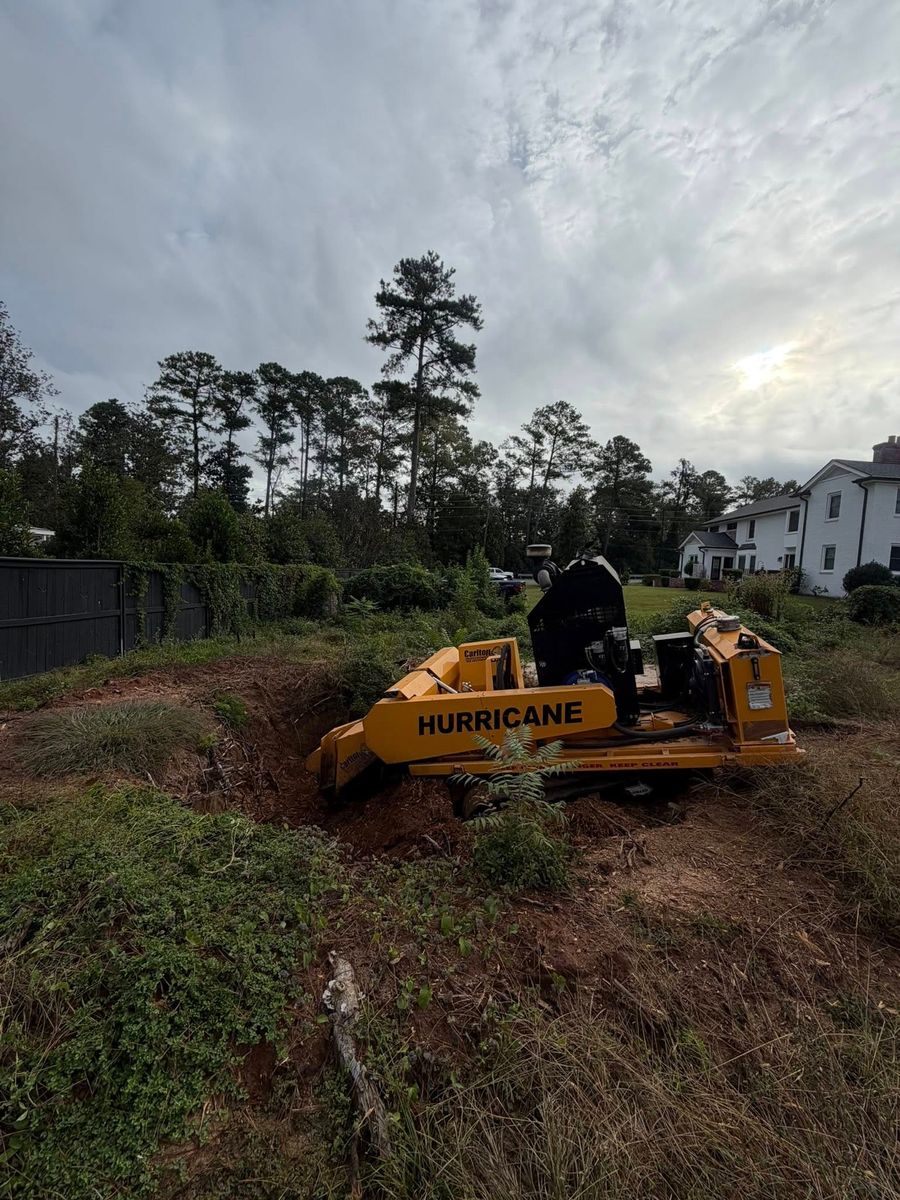 Stump Excavation for Dozier Stump Grinding in Augusta, GA