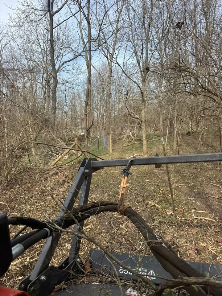 Land Clearing for Barkers Outdoor Services in Hamilton, OH