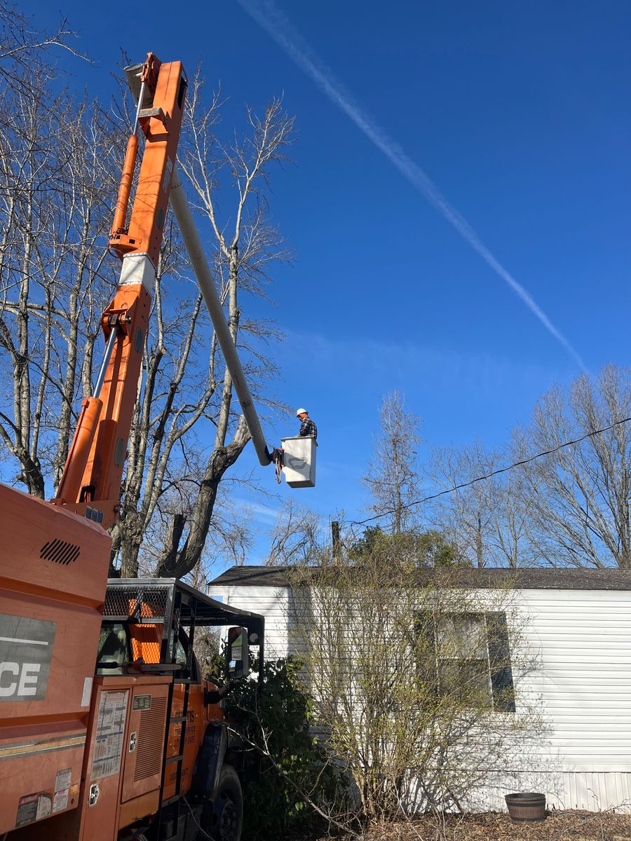 Tree Trimming for Curtis Tree Service LLC in Hopkins County, KY