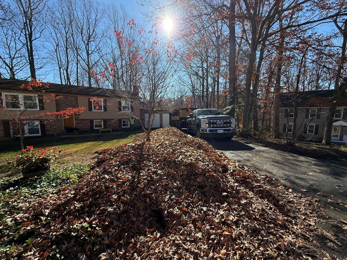 Commercial Property Maintenance for Ridgewood Lawn Care LLC in Fredericksburg, VA