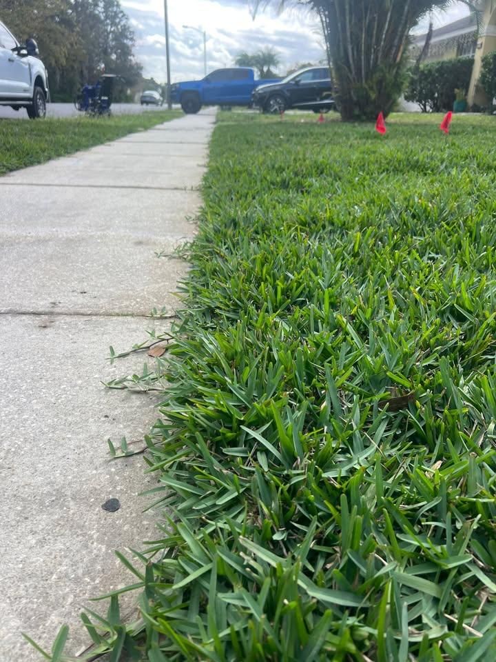 Site Prep And Cleanup for C4 Ground Control in Oviedo, FL