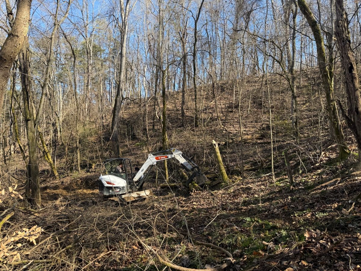 Land Clearing for Dutch Mountain Excavating in Sevierville, TN
