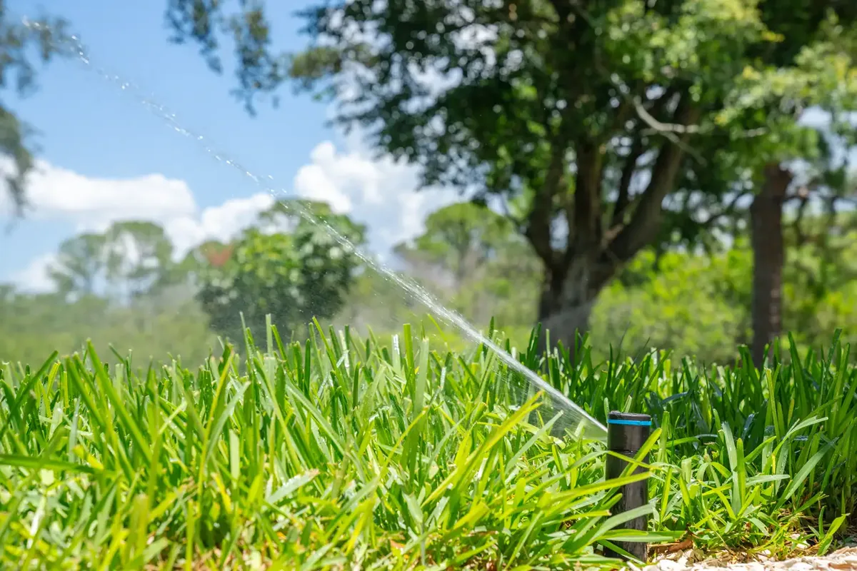 Irrigation Design Services for RSI Sprinklers & Drainage  in Southwest Houston, TX