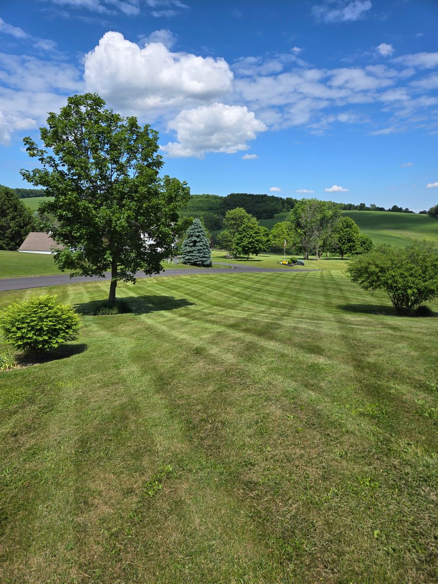 Lawn Maintenance for Fancher's Lawns & Landscaping LLC in Schoharie County, NY