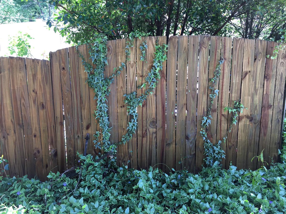 Fence Washing for Newman's Pro Wash Pressure Washing in Senoia, GA