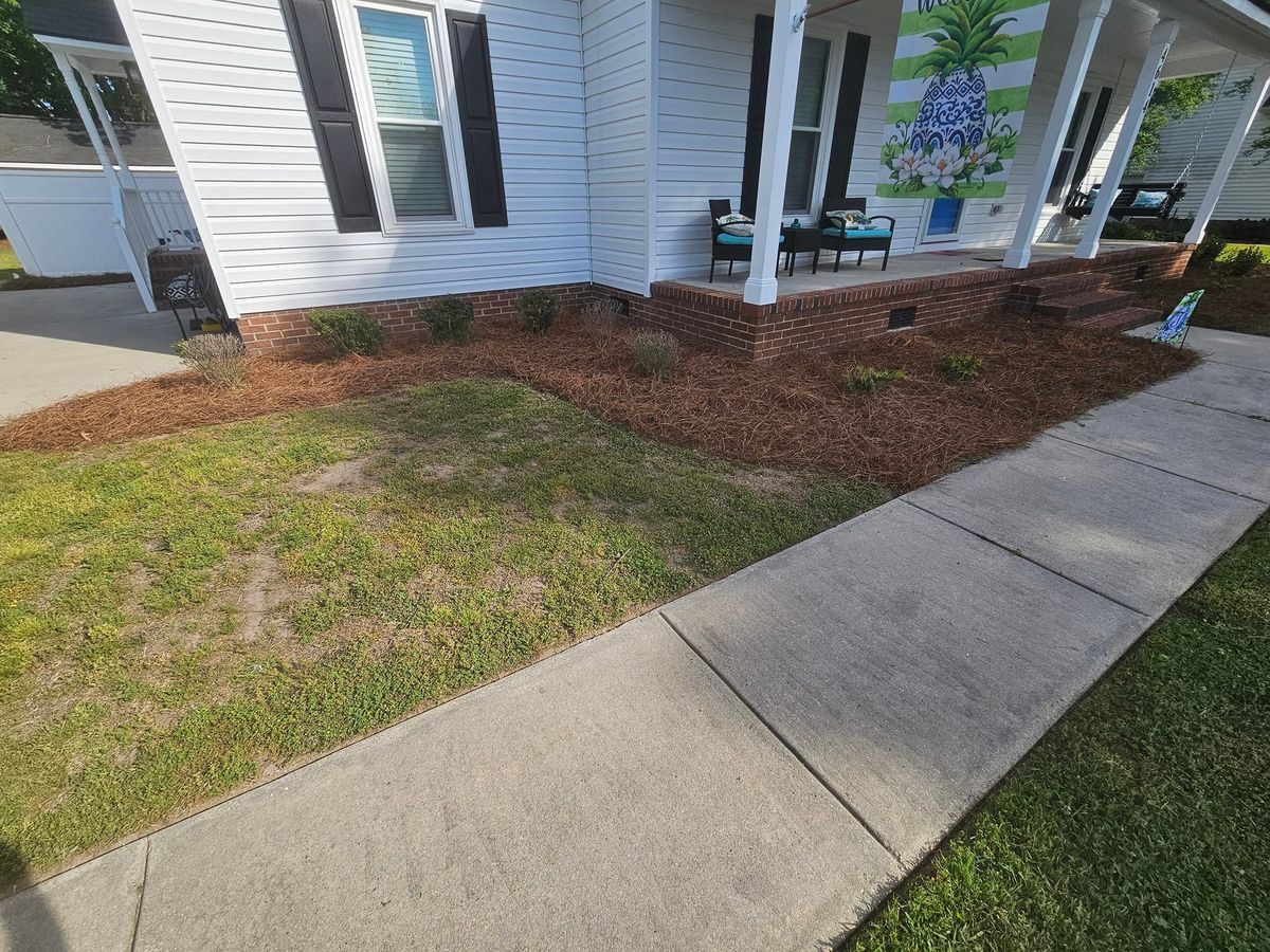 Mulch/pine Straw Installation for Natures Accent in Wilson, NC