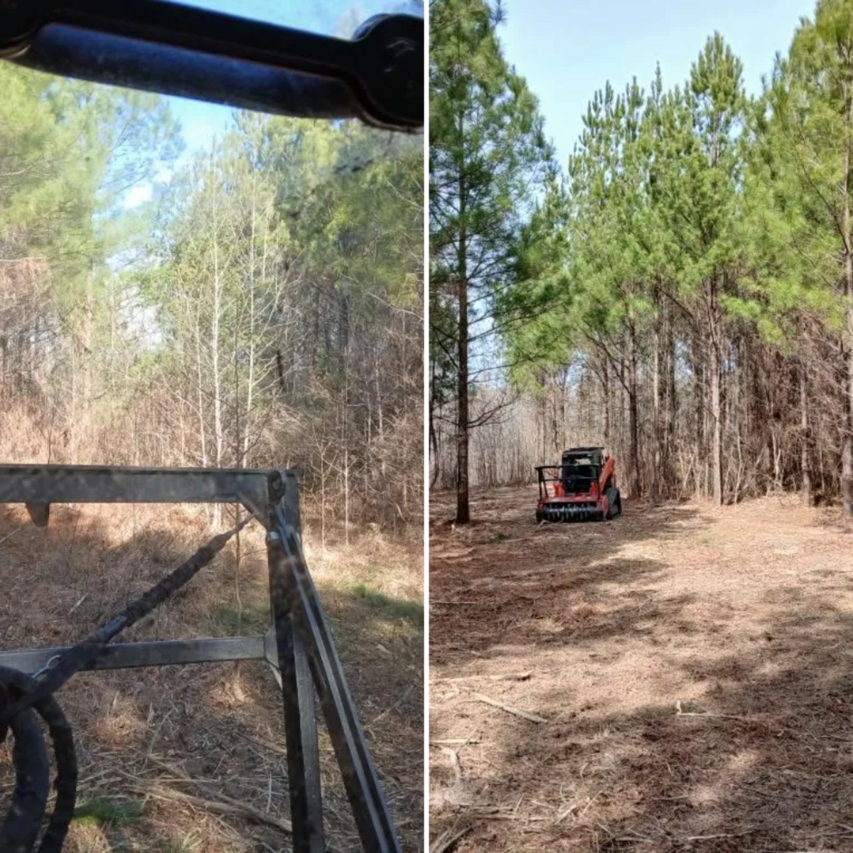 Forestry Mulching for Whiskey Ridge Mulching & Land Services in South Boston, VA