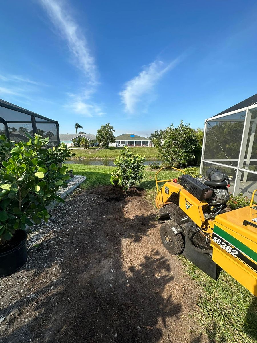 Planting for MX Trees LLC in Englewood, FL