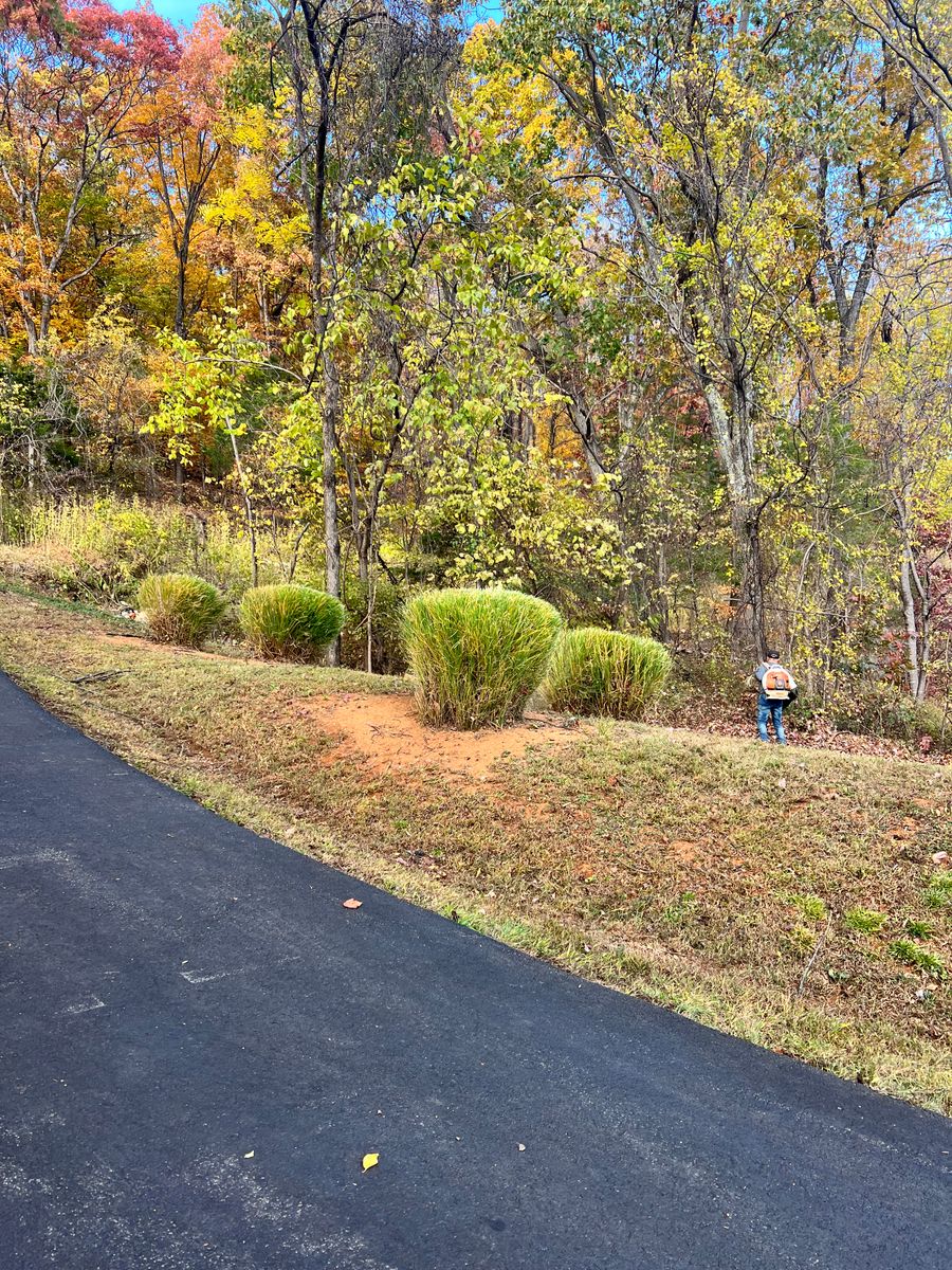 Shrub Trimming for Valencia’s Lawncare in Charlottesville, VA