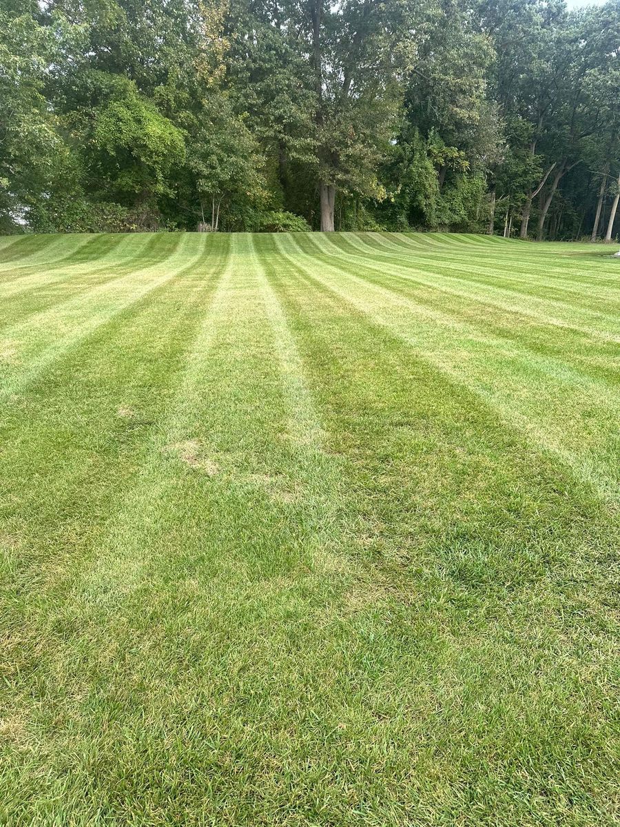 Landscaping for Sargent's Lawn and Property Maintenance LLC in Lambertville, MI