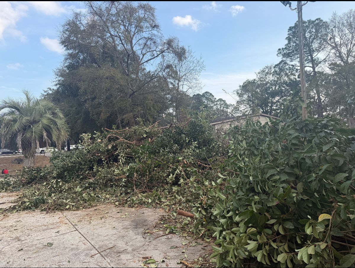 Tree Trimming & Removal for Brandon Woodard’s Lawncare in Ludowici, GA