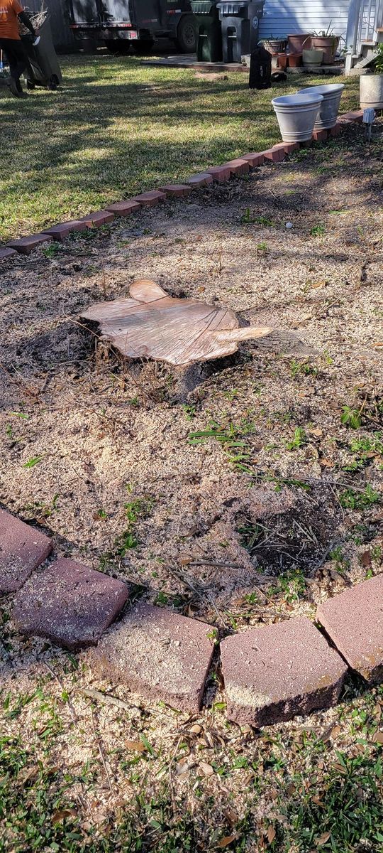 Stump Removal for Servin's Tree Care  in Houston, TX
