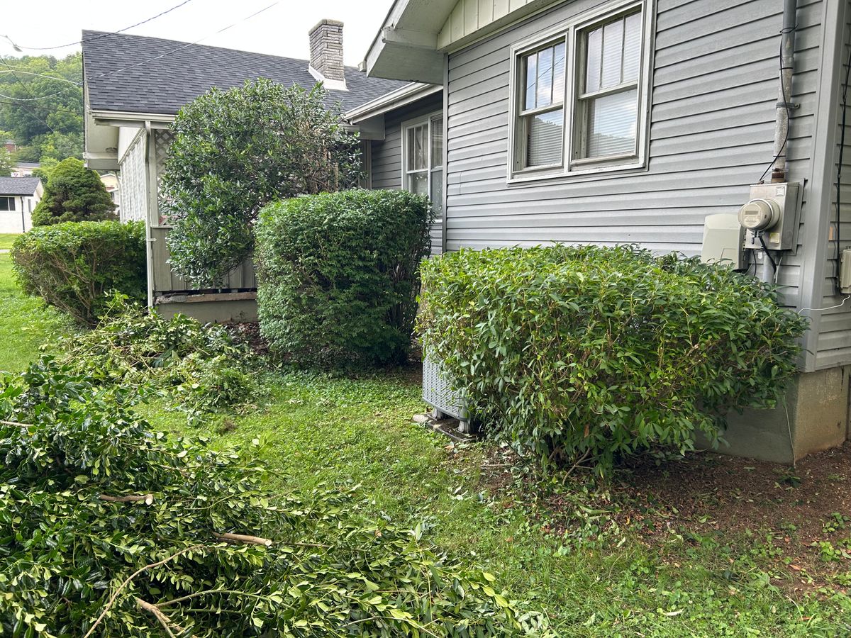 Shrub Trimming for Gatrell Landscape & Tree Removal in Bluff City, TN