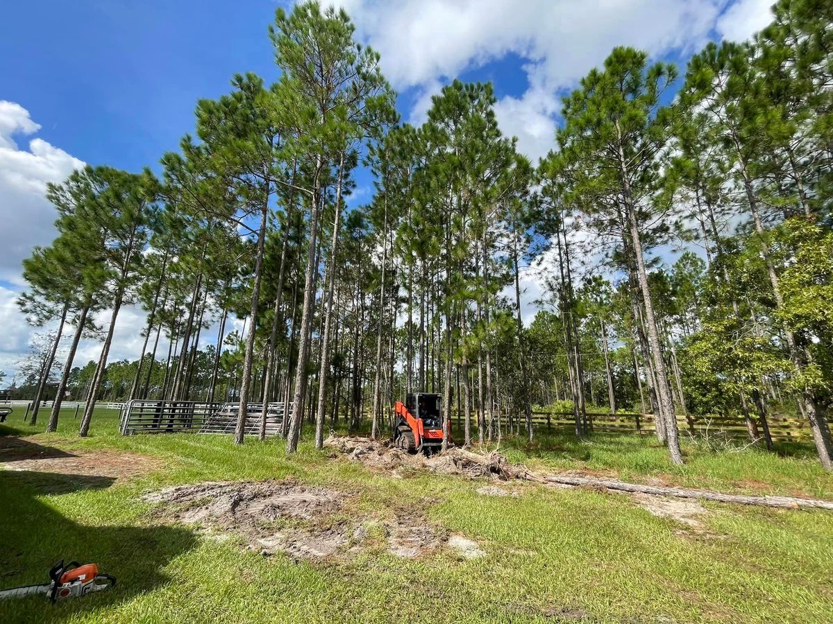 Land Clearing for Top Notch Tree Experts in Orange Park, FL