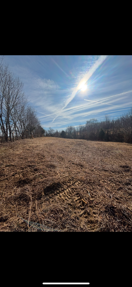 Land Clearing for Gregory Grass and Lawn in Lafayette, TN
