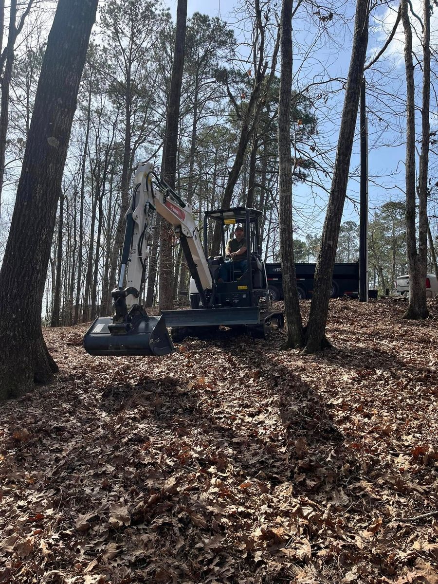 Tree Removal for T N L - Tree and Land Service in Reynolds, GA