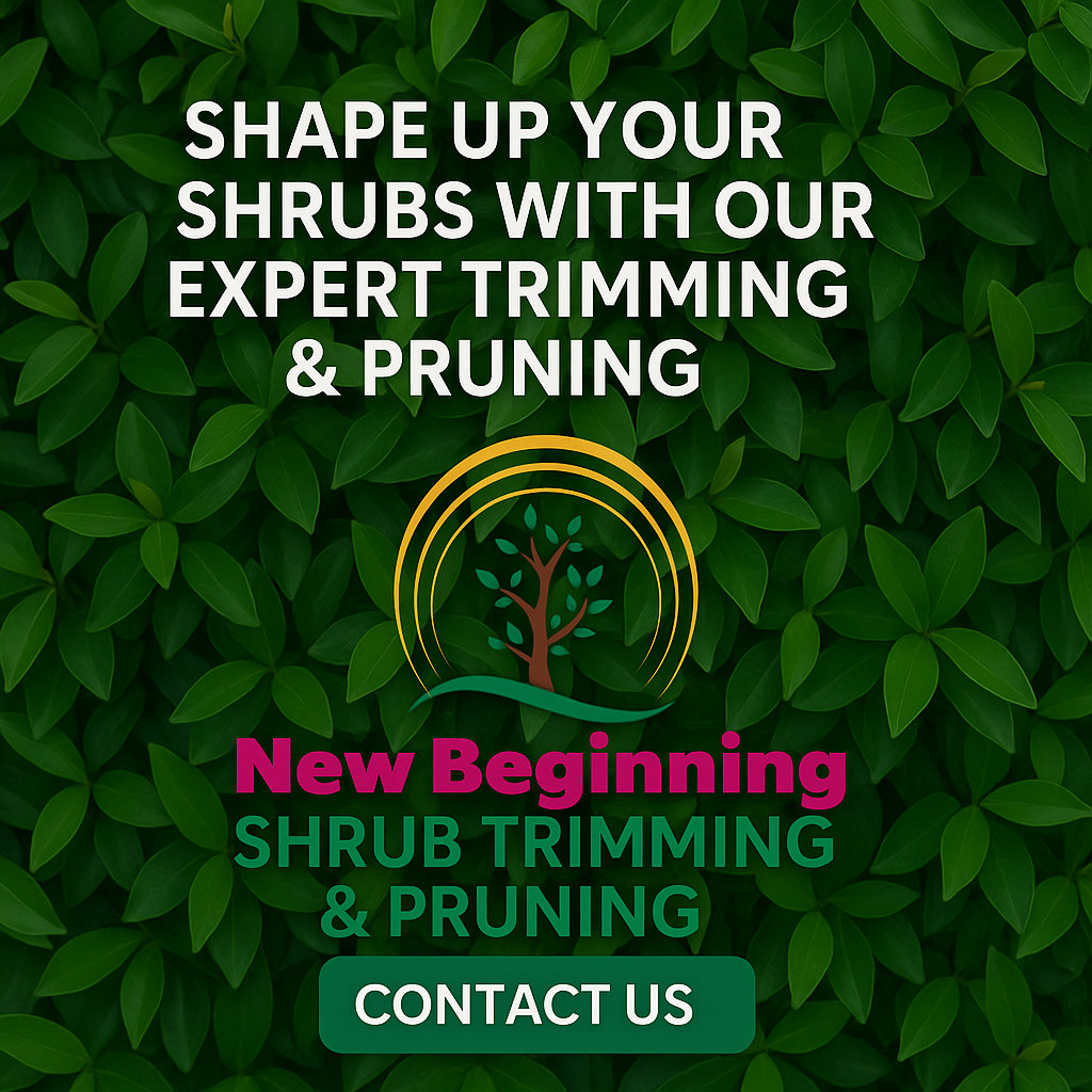 🌿 NB Shrub Trimming & Pruning Services for New Beginning Landscape & Remodel LLC in Atlanta, GA