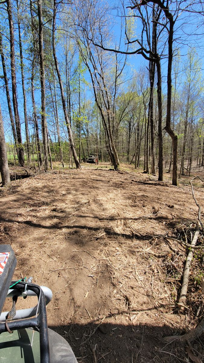 Land Clearing for Z's Land Management & Forestry Mulching in Smithville, TN