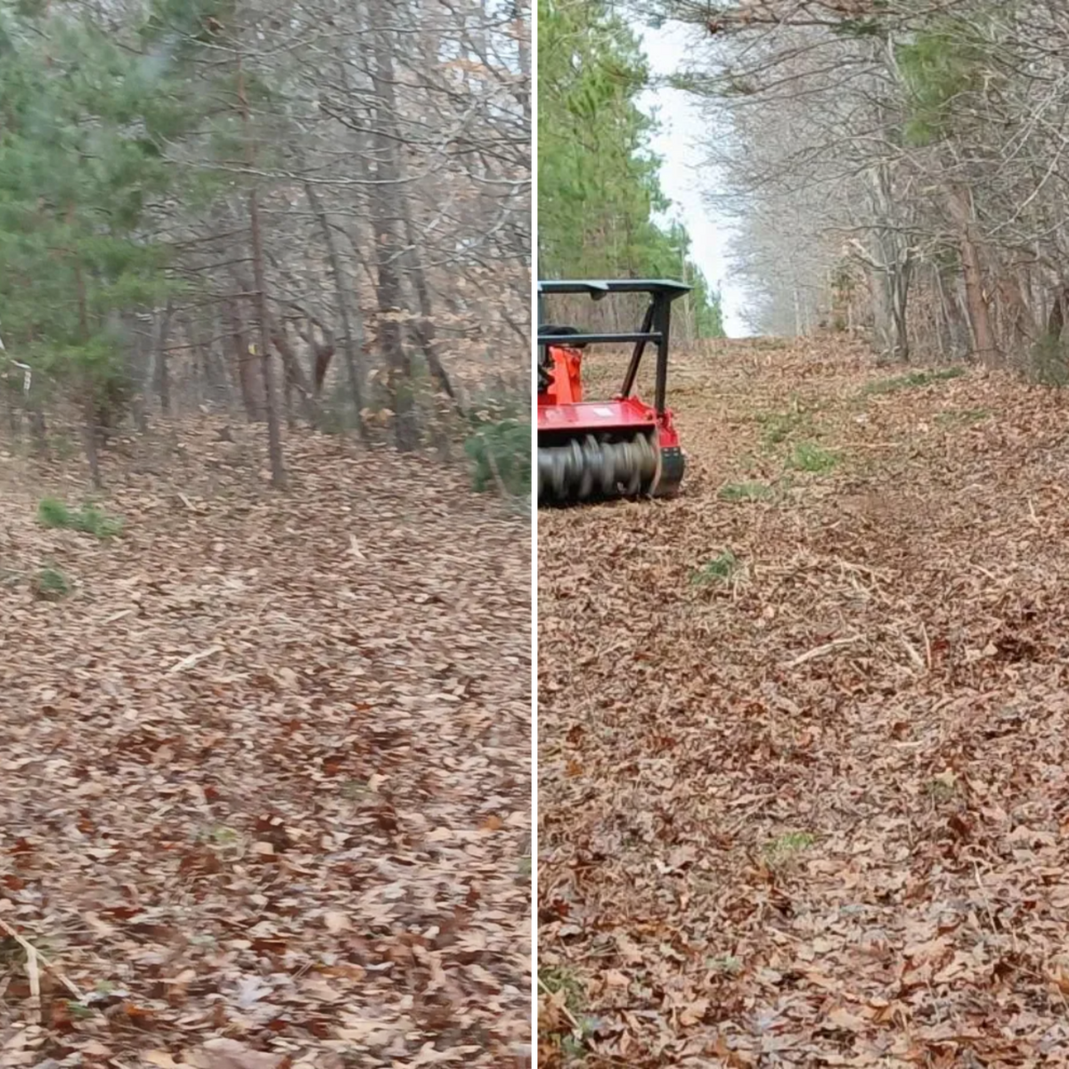Forestry Mulching for Whiskey Ridge Mulching & Land Services in South Boston, VA