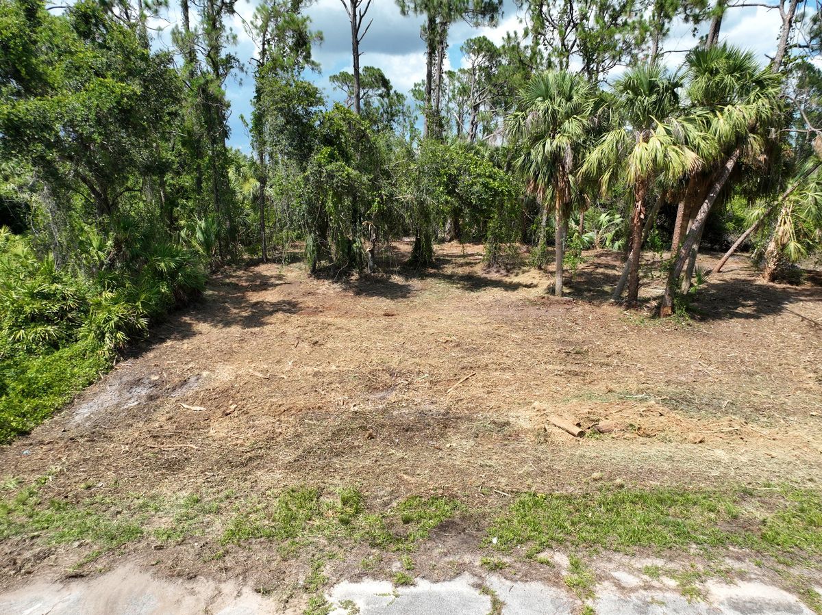 Tree Trimming & Removal for SWF Land Clearing Solutions in Fort Myers, FL