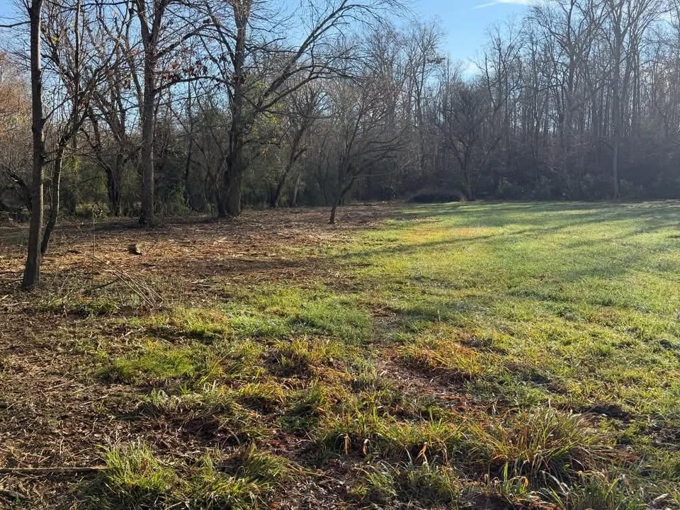 Forestry mulching for T Crane Grading LLC in Clarkesville, GA