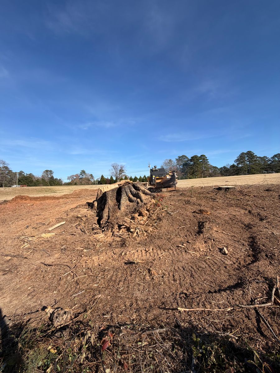 Stump Excavation for Dozier Stump Grinding in Augusta, GA