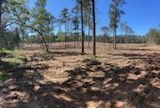 Land Clearing & Demolition for RH Property Enhancement in Moulton, TX