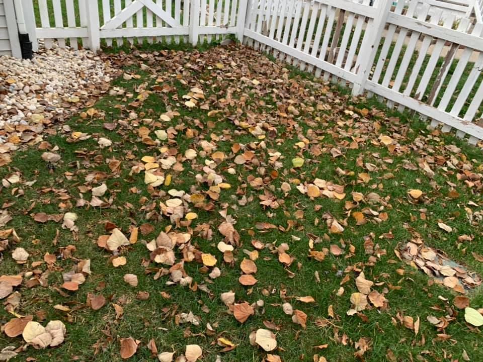 Spring Clean Up for Cena Landscaping in Rockford, IL