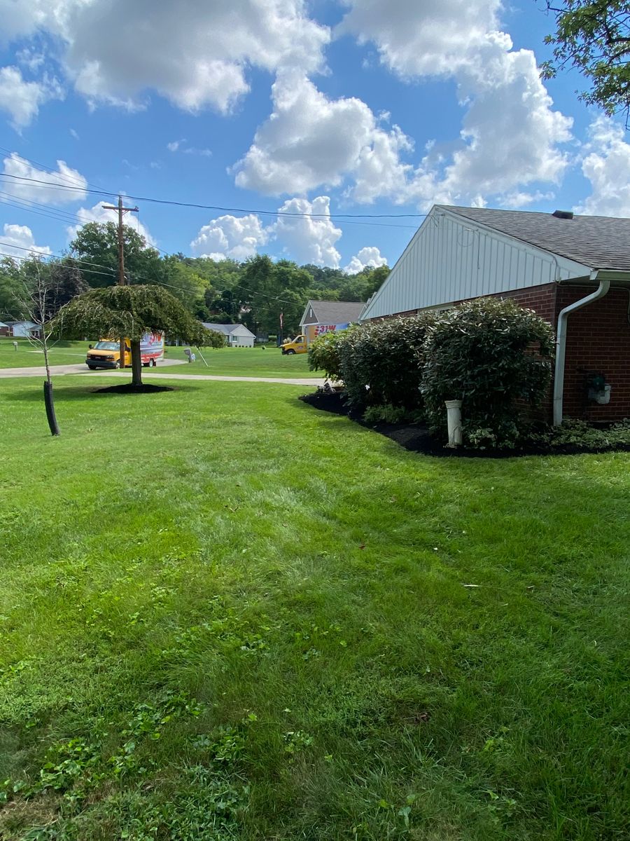 Lawn Mowing for Castle JR Landscaping & Painting LLC in Cincinnati, OH