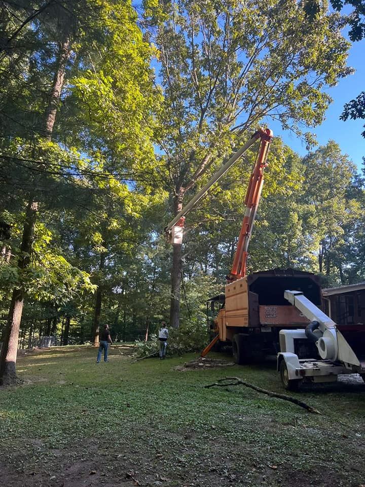 Tree Experts for Scott's Tree Service in Athens, TN