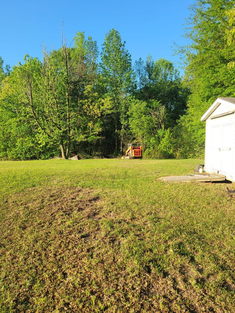 Tree Trimming & Removal for Bobcat Bob in Clermont, GA